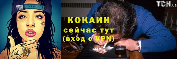 ешки Дмитриев