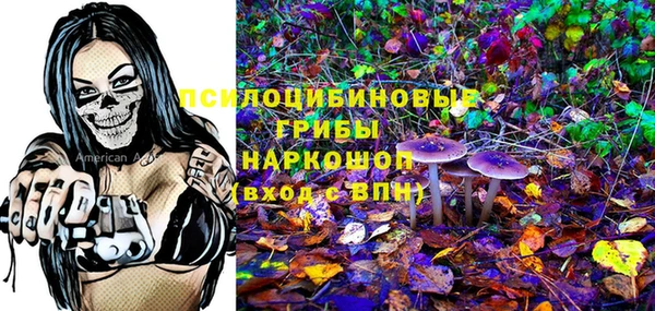 не бодяженный Дмитров