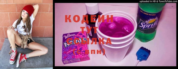 ешки Дмитриев