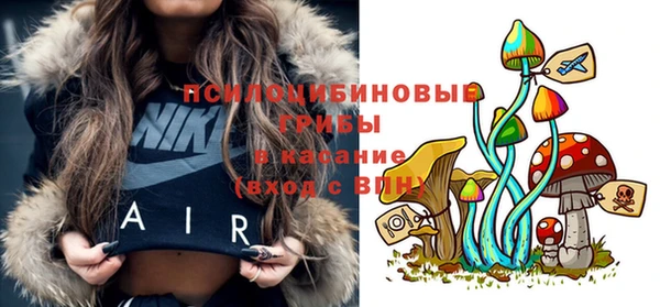 не бодяженный Дмитров