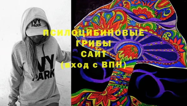 не бодяженный Дмитров