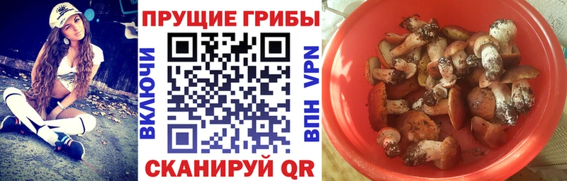 Псилоцибиновые грибы прущие грибы  Купить закладки  Могоча 