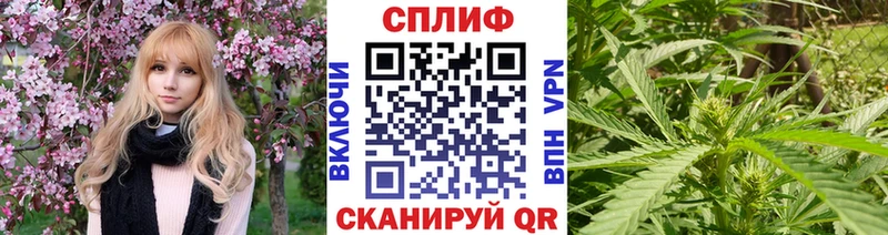 Бошки Шишки ГИДРОПОН  Купить  Могоча 